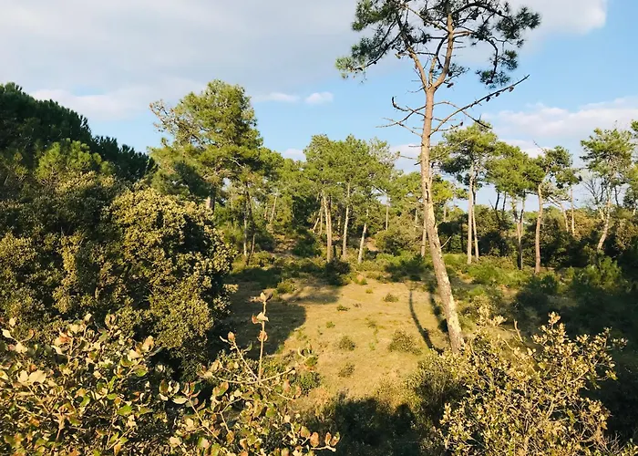 Maison Du Centre, Charme & Ocean Saint-Jean-de-Monts
